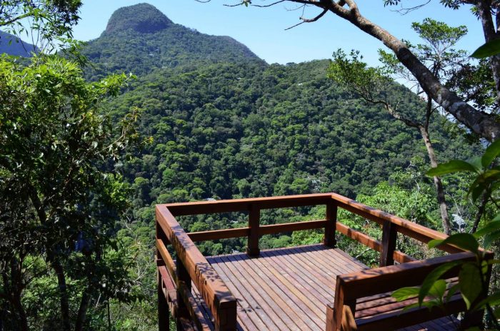 Floresta da Tijuca Rio de Janeiro